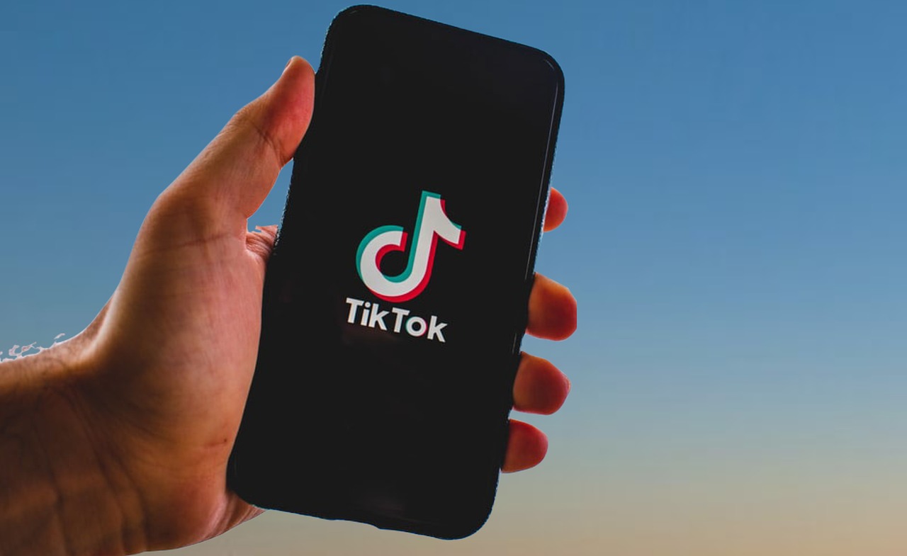 TikTok+独立站，流量变现的秘诀！